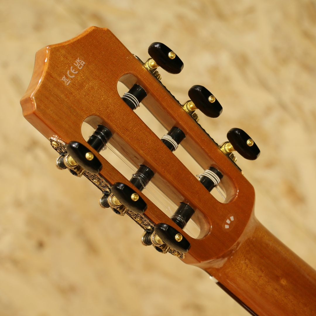 Cordoba STAGE Guitar LIMITED GARNET コルドバ サブ画像8