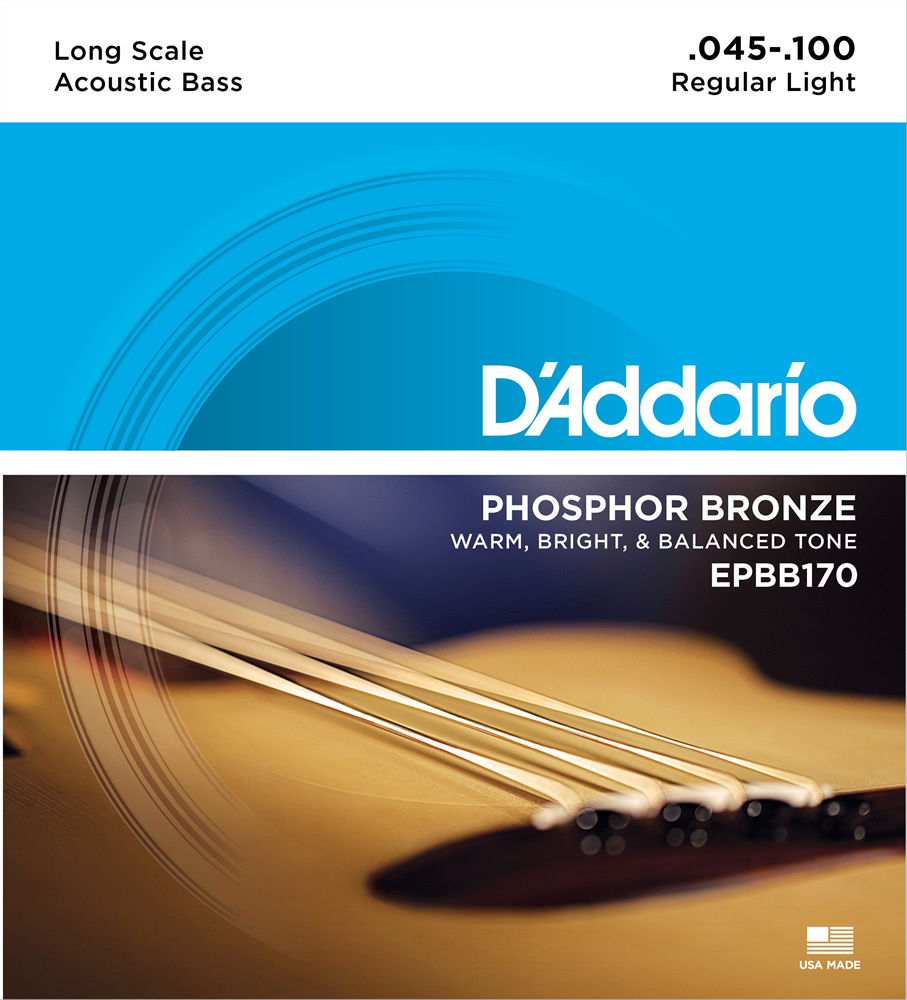 EPBB170 Phosphor Bronze Wound