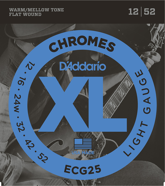 D'Addario ECG25 [Flat Wound弦/12-52] ダダリオ