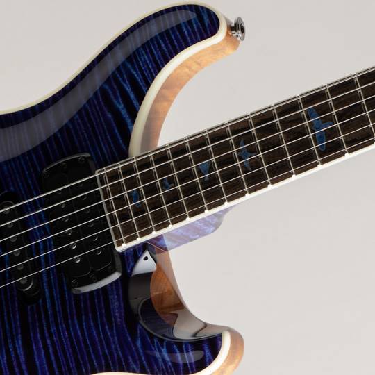 Paul Reed Smith Private Stock Modern Eagle V F-Hole # 9360 Aqua Violet 2022 ポールリードスミス サブ画像11