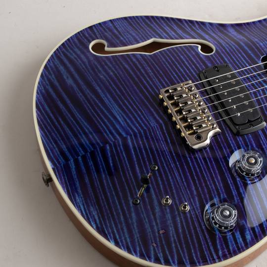 Paul Reed Smith Private Stock Modern Eagle V F-Hole # 9360 Aqua Violet 2022 ポールリードスミス サブ画像13