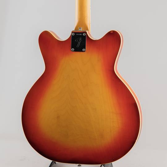 FENDER Coronado XII Cherry Sunburst 1966 フェンダー サブ画像9