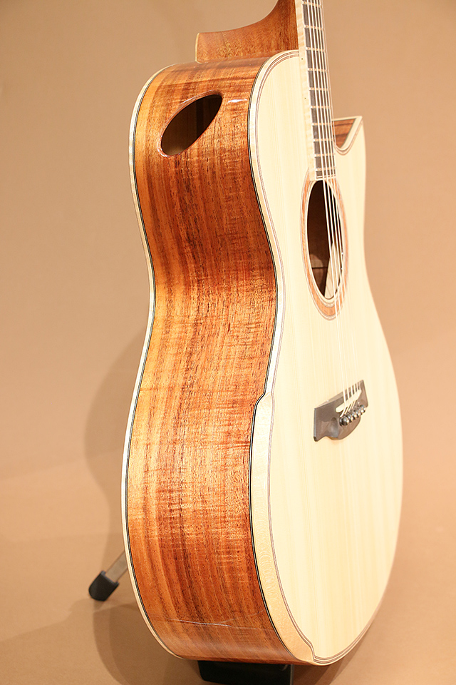 Maestro Guitars Private Collection Singa AB CSB AX マエストロギターズ winsaleend サブ画像3