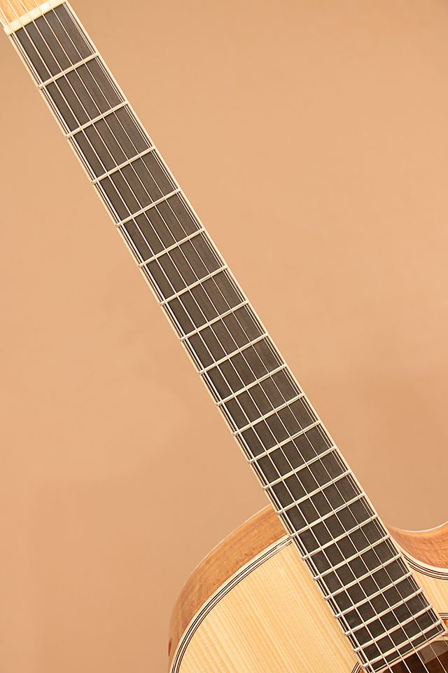 Maestro Guitars Private Collection Singa AB CSB AX マエストロギターズ winsaleend サブ画像5