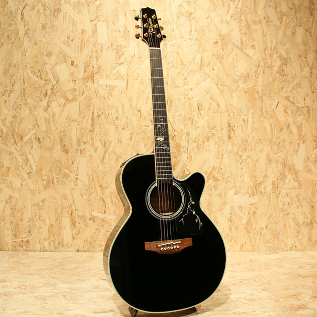 TAKAMINE TDP500 CUSTOM -Michi- タカミネ サブ画像2