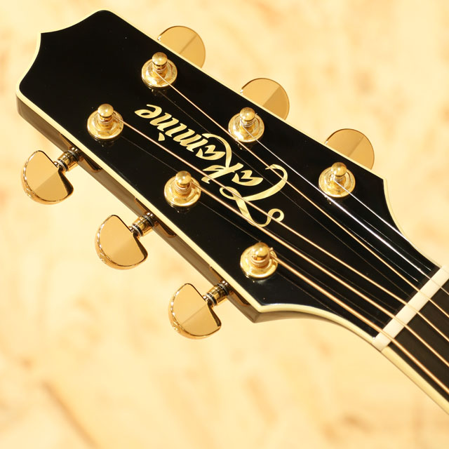 TAKAMINE TDP500 CUSTOM -Michi- タカミネ サブ画像7