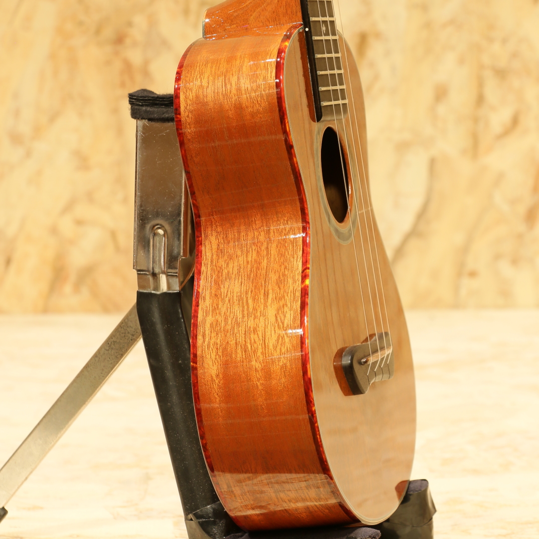 Nagasaka Guitars <Leaf Instruments> 照り葉 Teriha Concert ナガサカギターズ サブ画像3