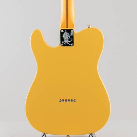 FENDER Britt Daniel Tele Thinline / Amarillo Gold/M【S/N:US23056752】 フェンダー サブ画像1