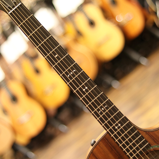 TAYLOR 724ce Hawaiian Koa テイラー サブ画像5