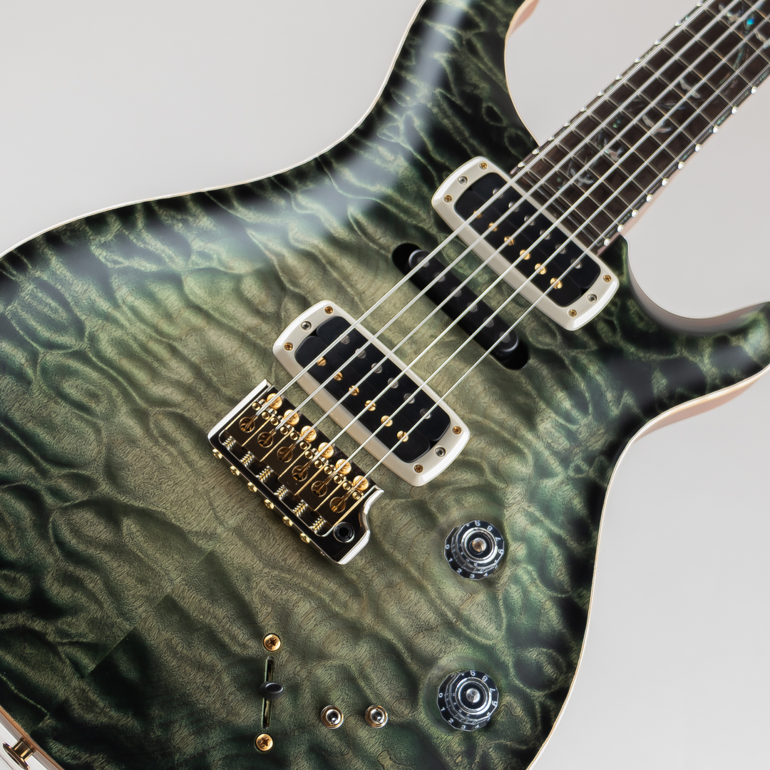 Paul Reed Smith Private Stock #11059 Modern Eagle V Brazilian Rose Neck Sage Glow ポールリードスミス サブ画像10