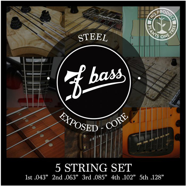 Stainless Steel Exposed-Core Strings【5st】