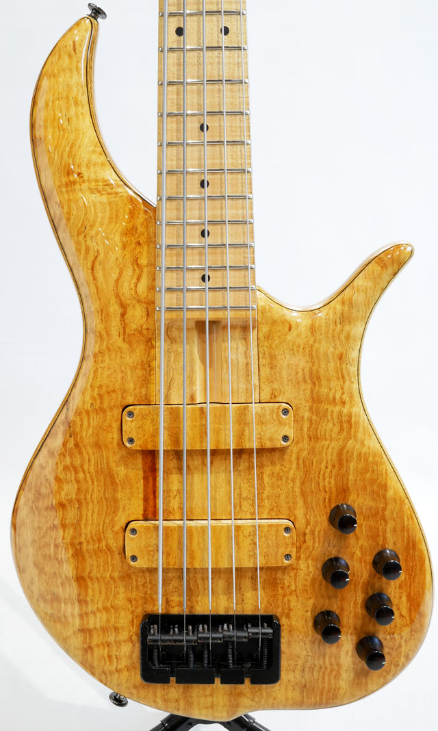 BN5 Figured Maple