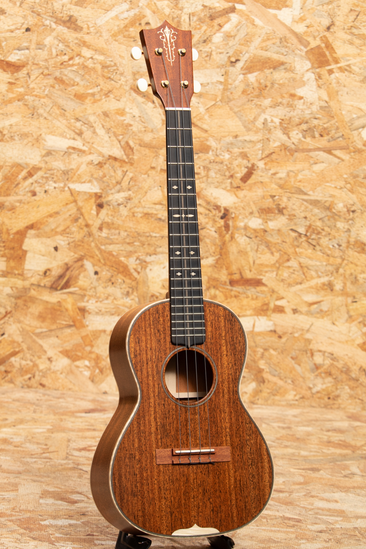 MARTIN CTM Style-3T マーチン SM2024AG サブ画像2