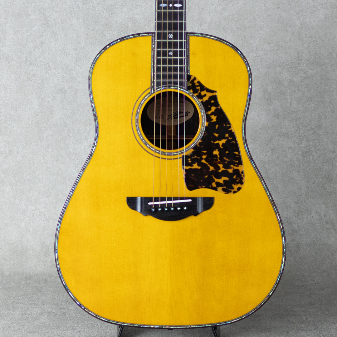 T'sT Premium Terry PTJ-100 German Spruce /Indian Rosewood プレミアムテリー