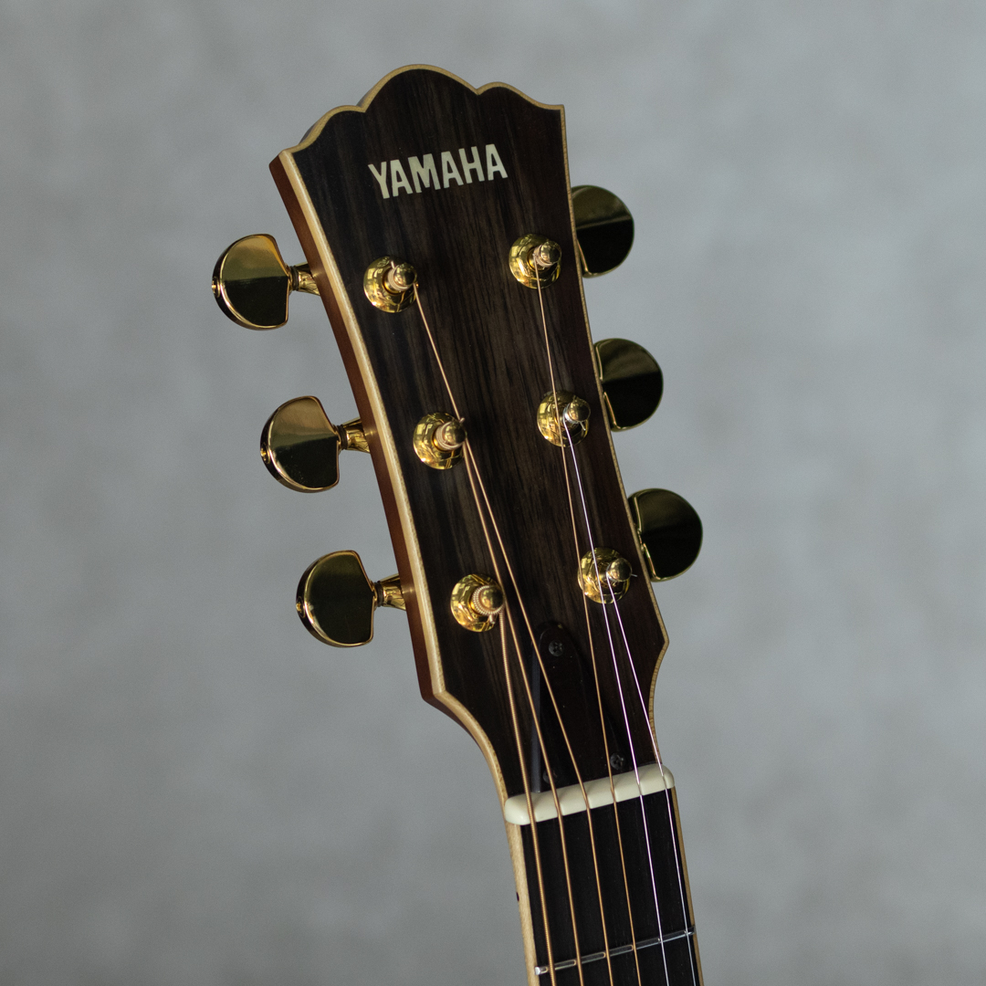 YAMAHA LA-58X Jacaranda ヤマハ サブ画像8