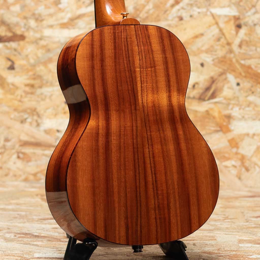 T-46 DX Honu Big Tenor 2021