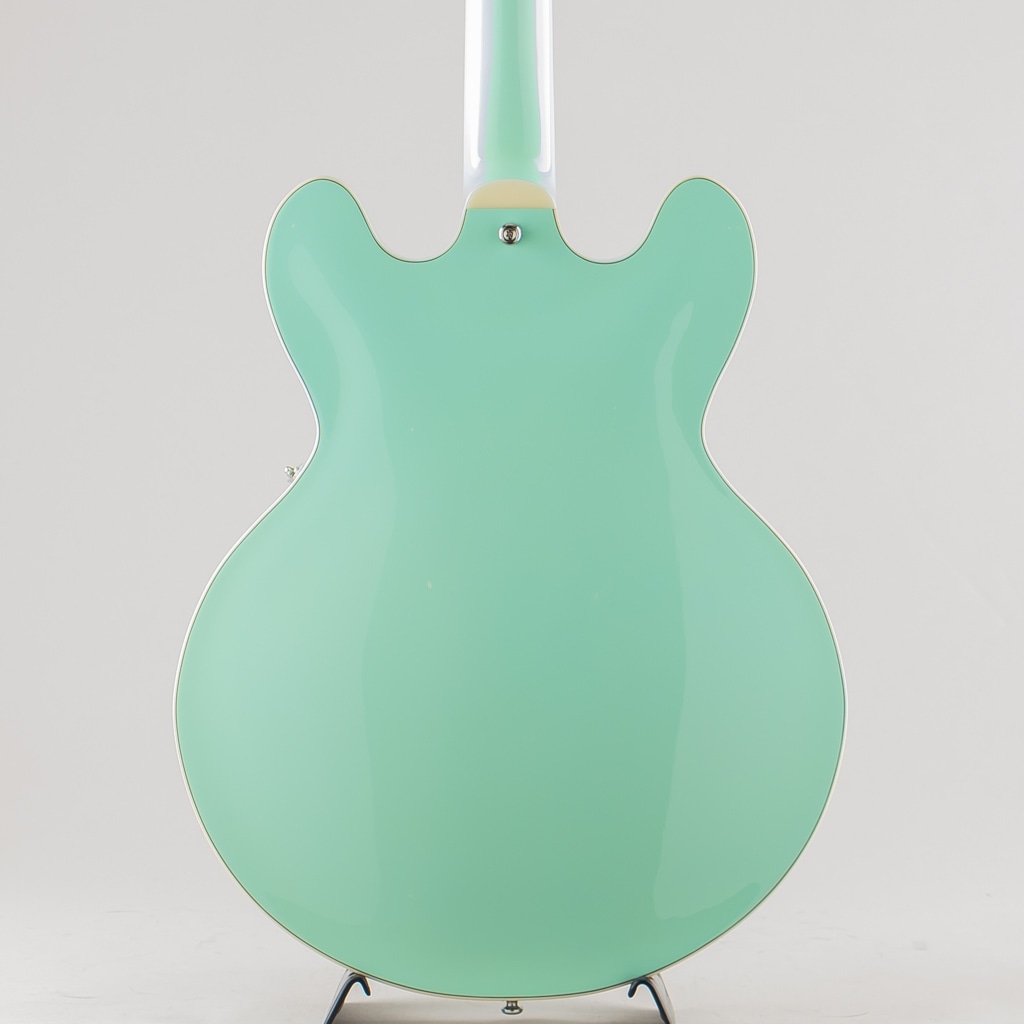 EXRUBATO-ZEBRA FINCH / Surf Green