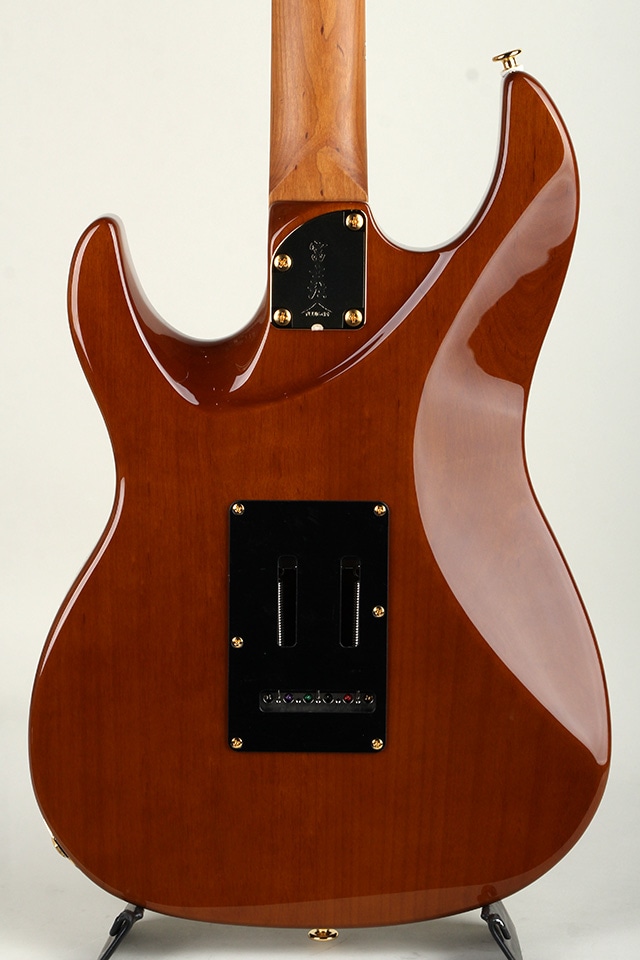 Expert ODYSSEY EOS2-EW1-HS-RM/HCB【S/N J250460】