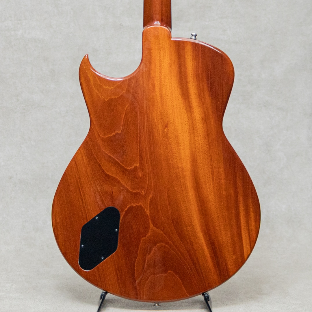 Semi-Hollow Arch Top TOM Bridge and Stop Tailpiece / 2014