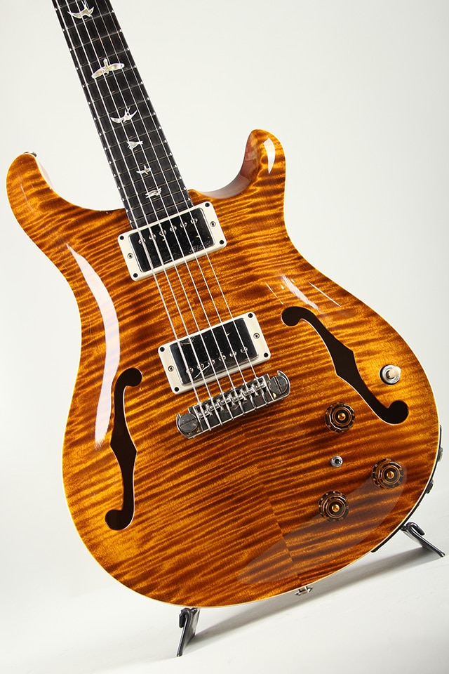 Hollowbody II Piezo 10Top 2016