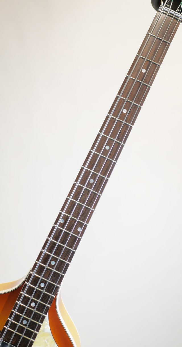 H500/1-63 Violin Bass Artist