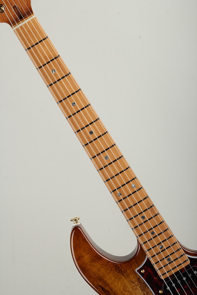 Expert ODYSSEY EOS2-EW1-HS-RM/HCB【S/N J250460】