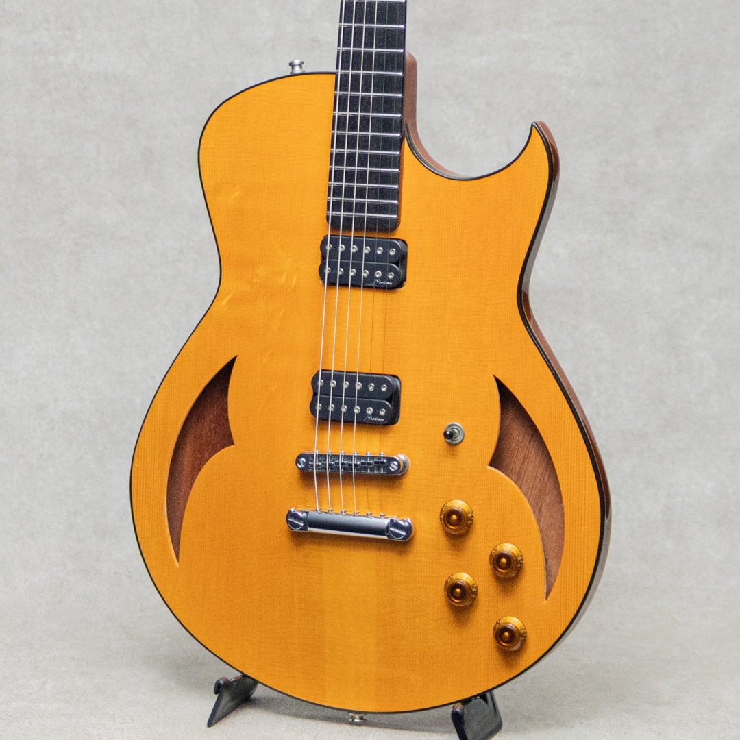 Semi-Hollow Arch Top TOM Bridge and Stop Tailpiece / 2014