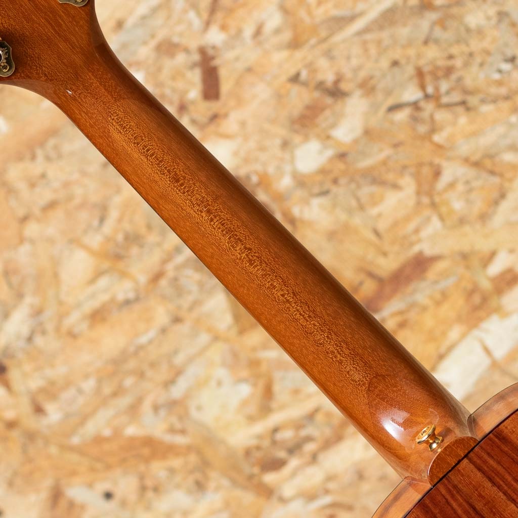 T-46 DX Honu Big Tenor 2021