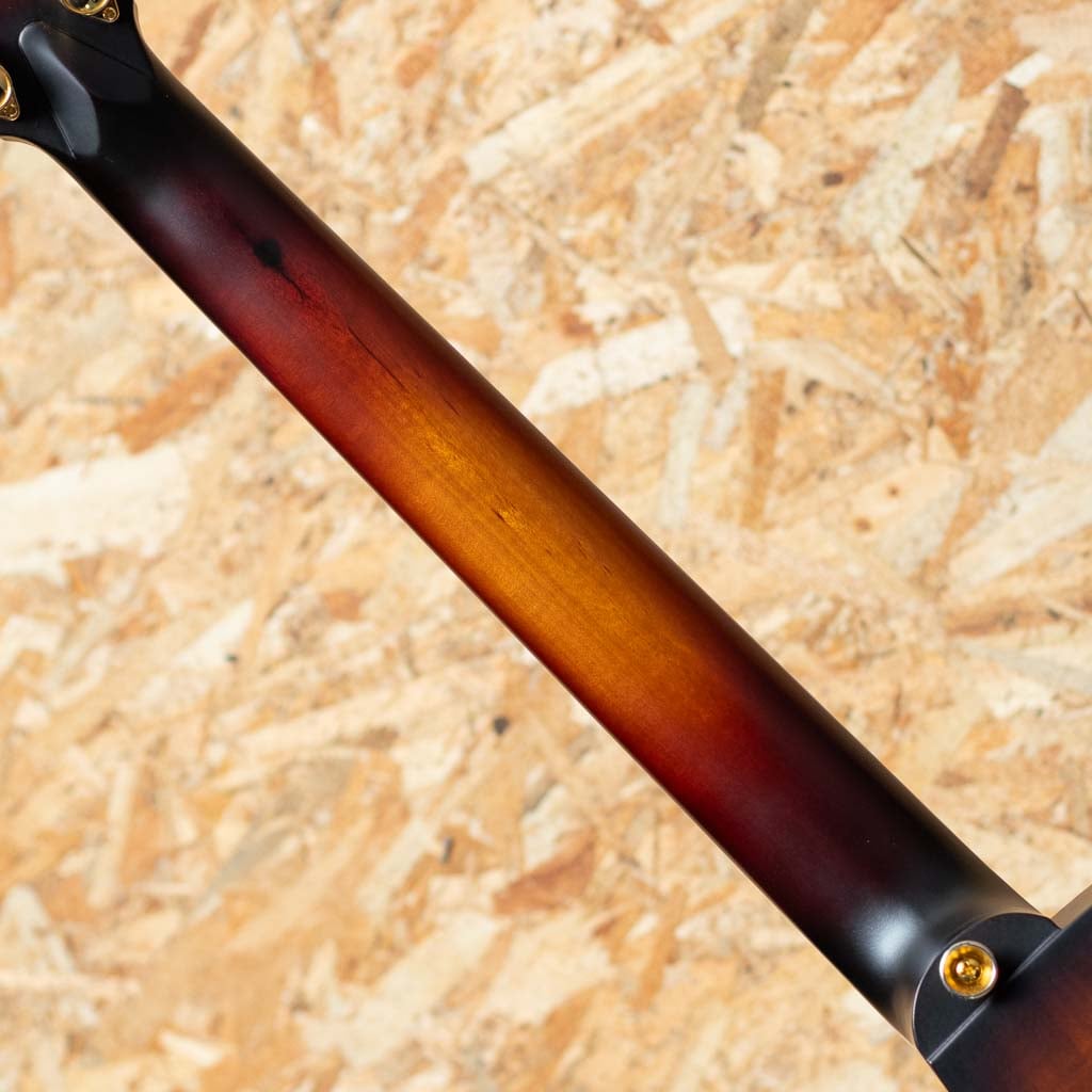 TL2EC-BLBL-HSS-SUN 2020's