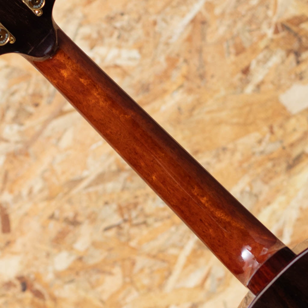 Bear Claw Sitka Spruce Tenor 2023