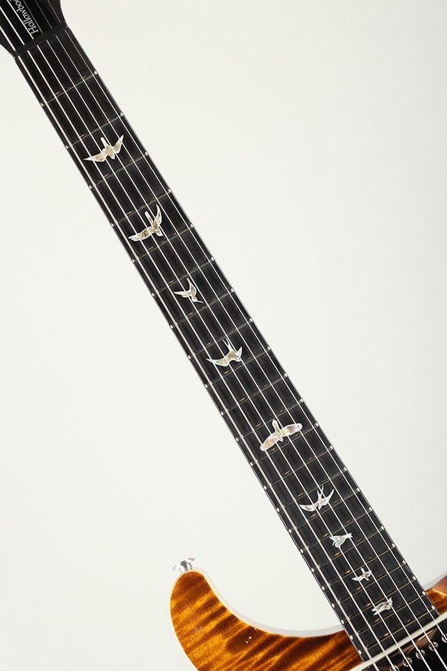 Hollowbody II Piezo 10Top 2016