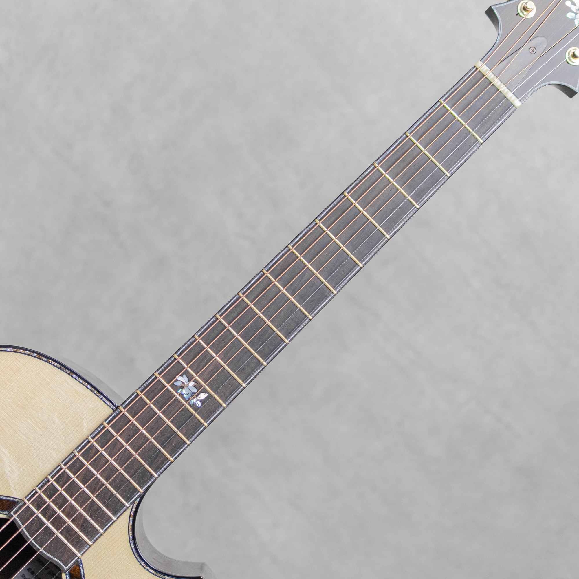 Deep Arte Cutaway "葛飾北斎 文鳥 辛夷花" Jacaranda -MIKI 200th Anniversary-