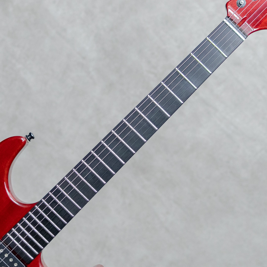 Uni Body Neck Through Venetian Red / 2000's
