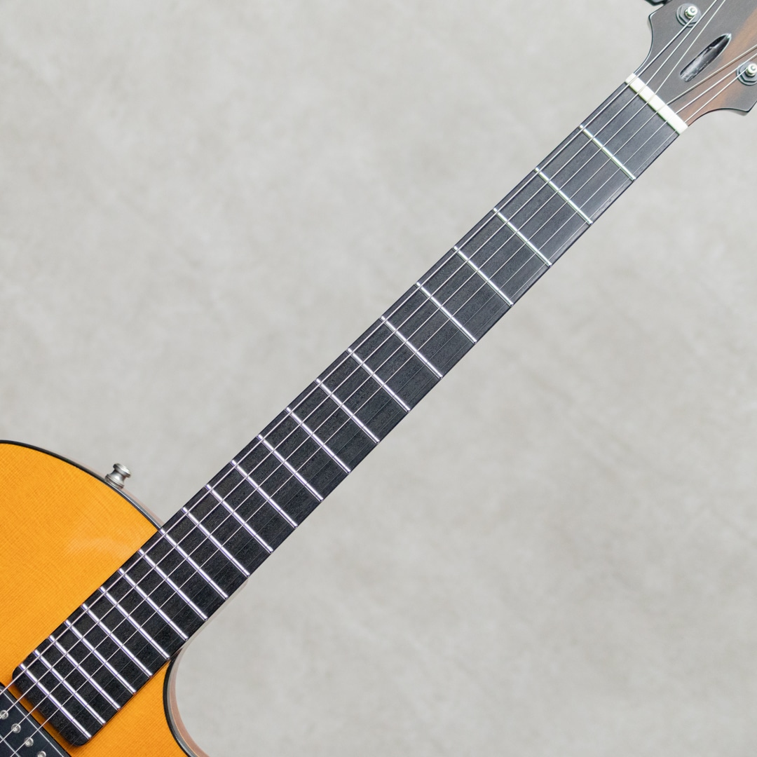 Semi-Hollow Arch Top TOM Bridge and Stop Tailpiece / 2014