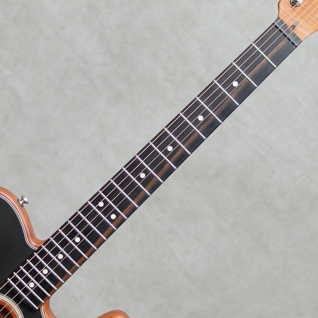 American Acoustasonic Telecaster Black Ebony Fingerboard / 2022