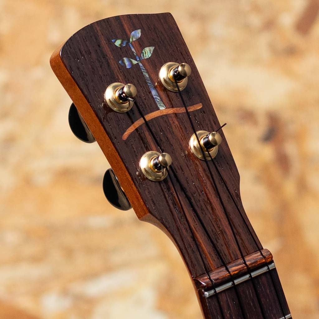 11P-Ro Pineapple -MIKI 200th Anniversary-