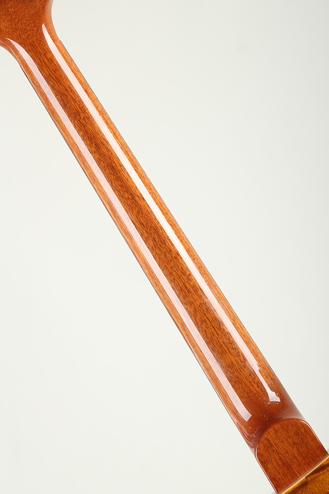 Hollowbody II Piezo 10Top 2016