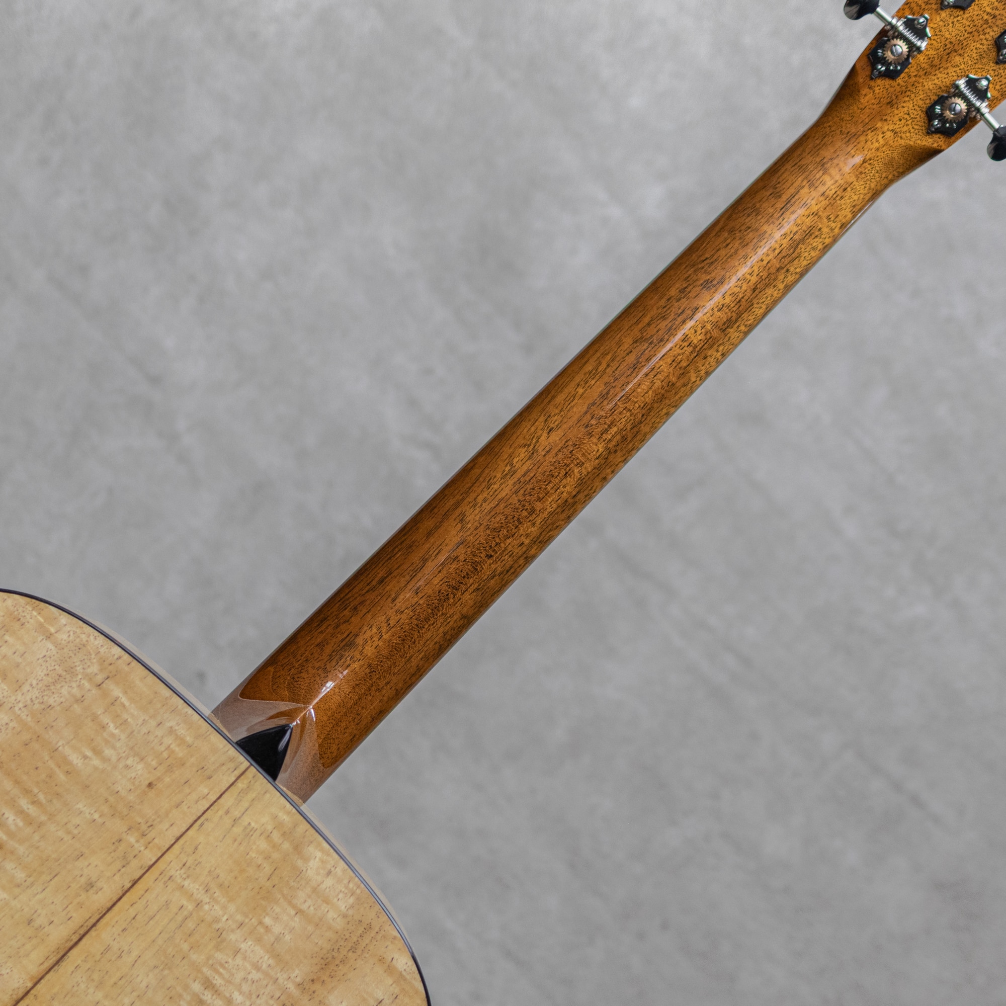 OM1A Adrondack Spruce / Pecan