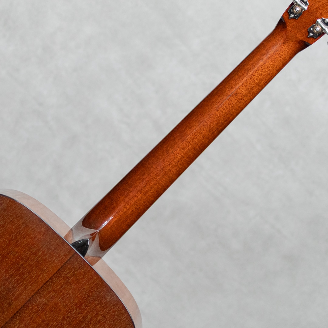 D1T Traditional/Torrefied Top / 2018