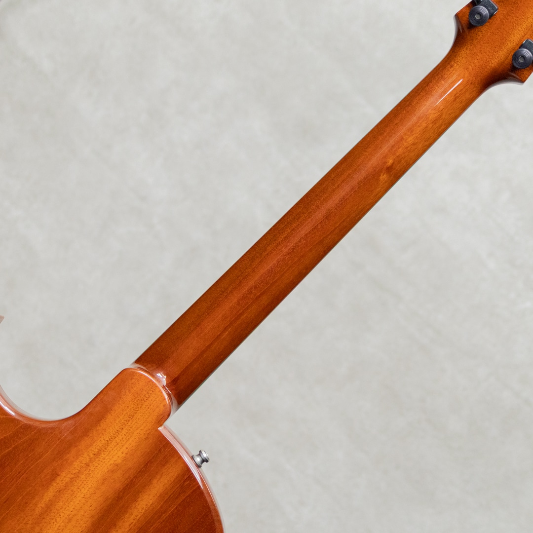 Semi-Hollow Arch Top TOM Bridge and Stop Tailpiece / 2014