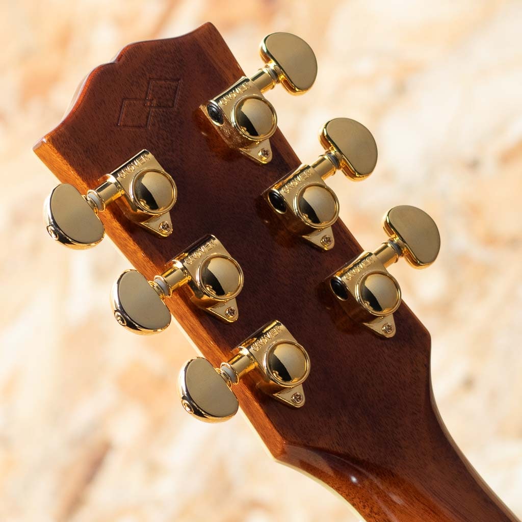 Inspired by Gibson Custom Hummingbird Deluxe EC Autumn Burst