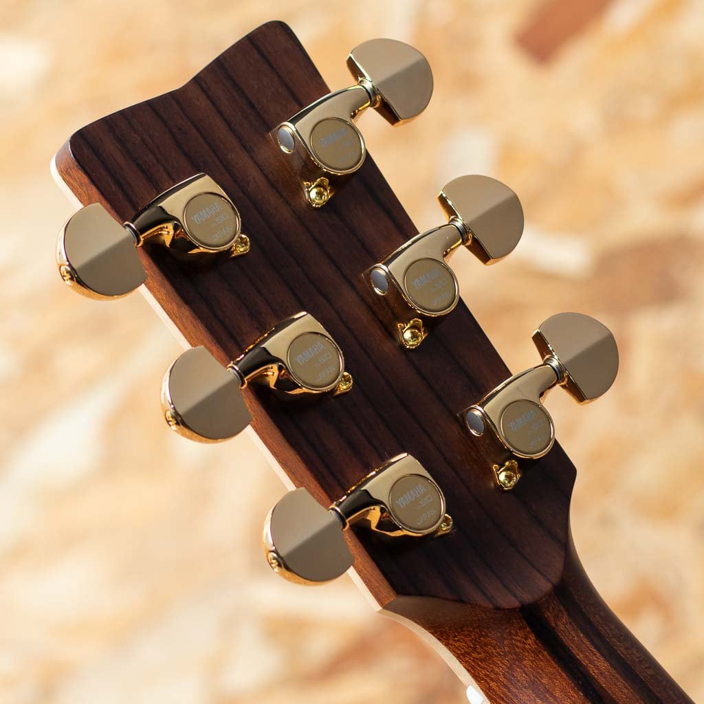 LL56 Custom ARE -MIKI 200th Anniversary-