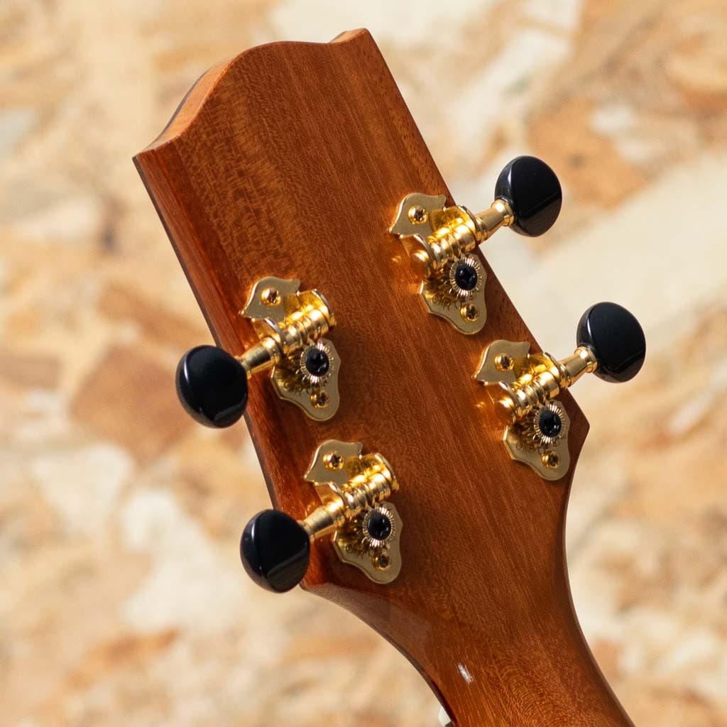 T-46 DX Honu Big Tenor 2021