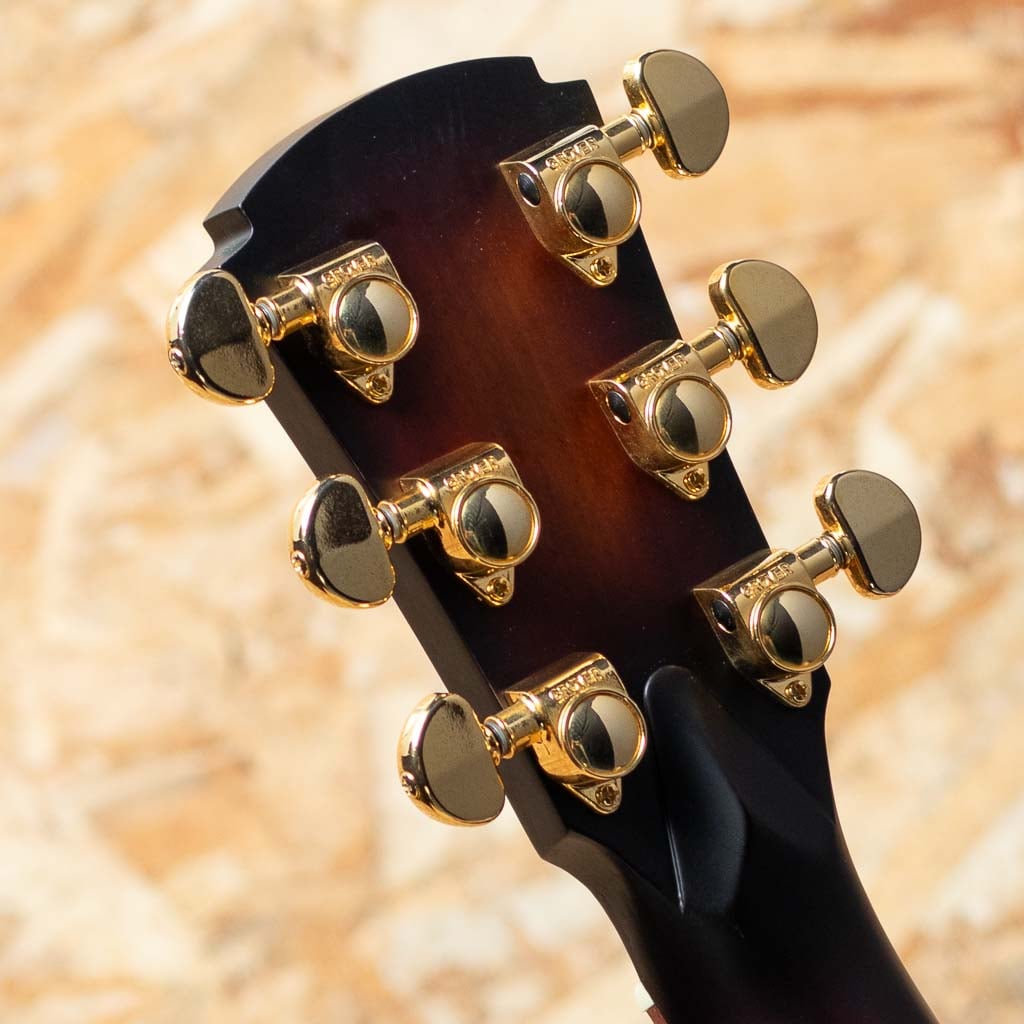 TL2EC-BLBL-HSS-SUN 2020's