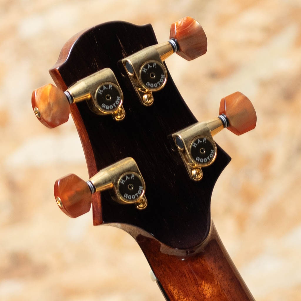 Bear Claw Sitka Spruce Tenor 2023