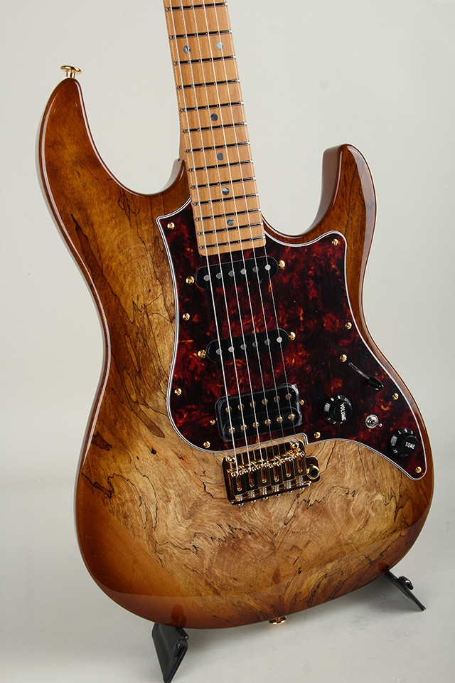 Expert ODYSSEY EOS2-EW1-HS-RM/HCB【S/N J250460】