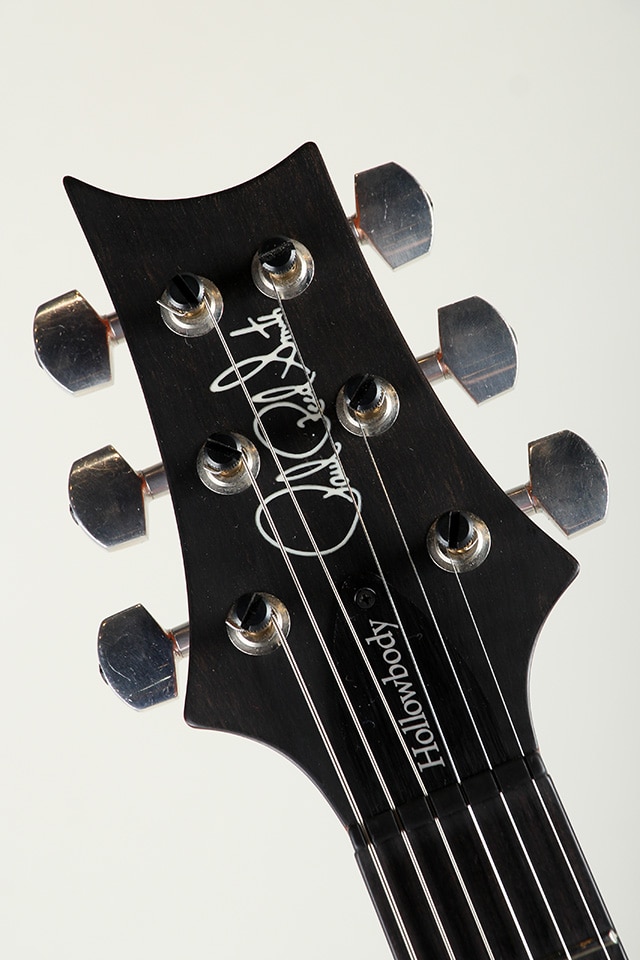 Hollowbody II Piezo 10Top 2016