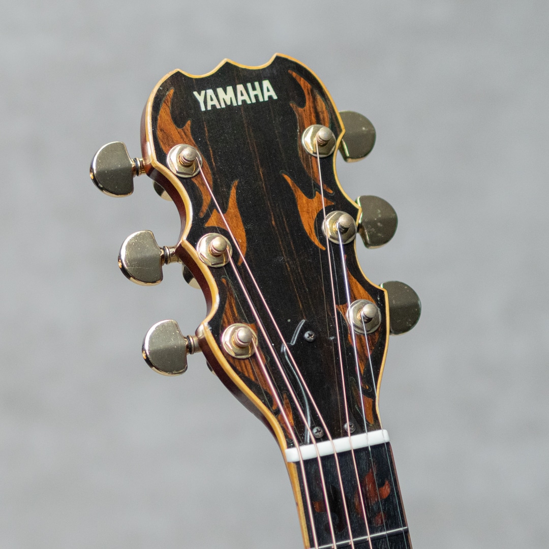 L-51 Custom Jacaranda / 1975