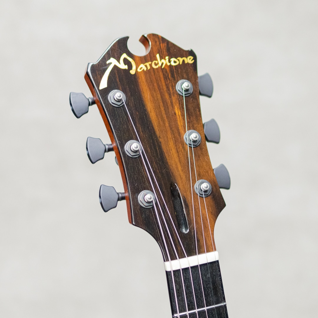 Semi-Hollow Arch Top TOM Bridge and Stop Tailpiece / 2014