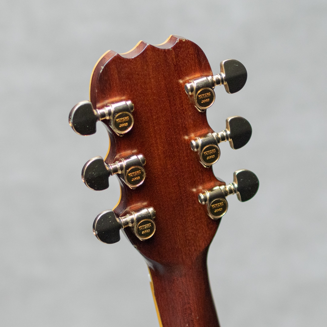 L-51 Custom Jacaranda / 1975